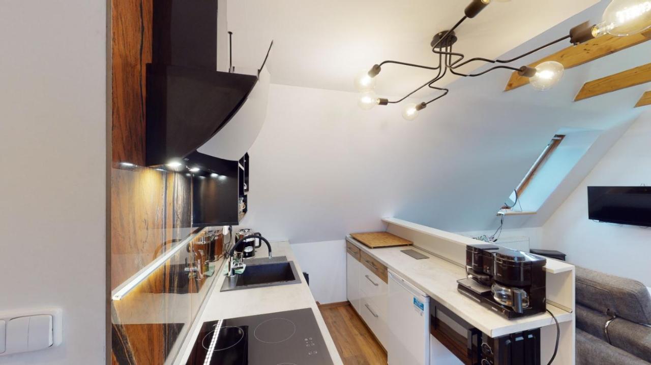 Apartman Atelier Vary V Nove Zrekonstruovanem Dome Karlovy Vary Exterior photo